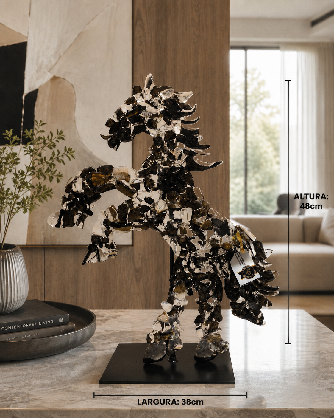 Cavalo Ressignificar