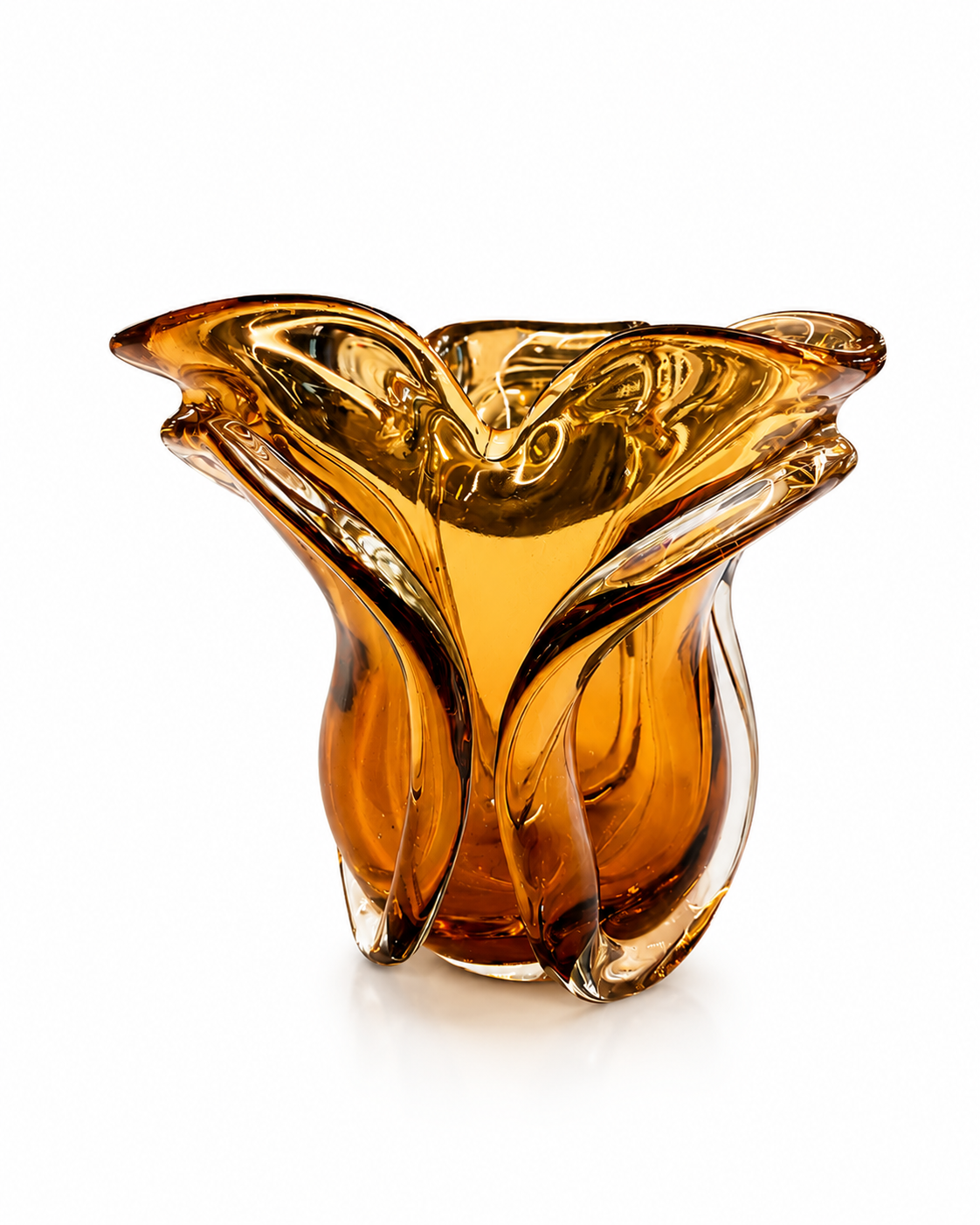 Vaso Orgãnico
